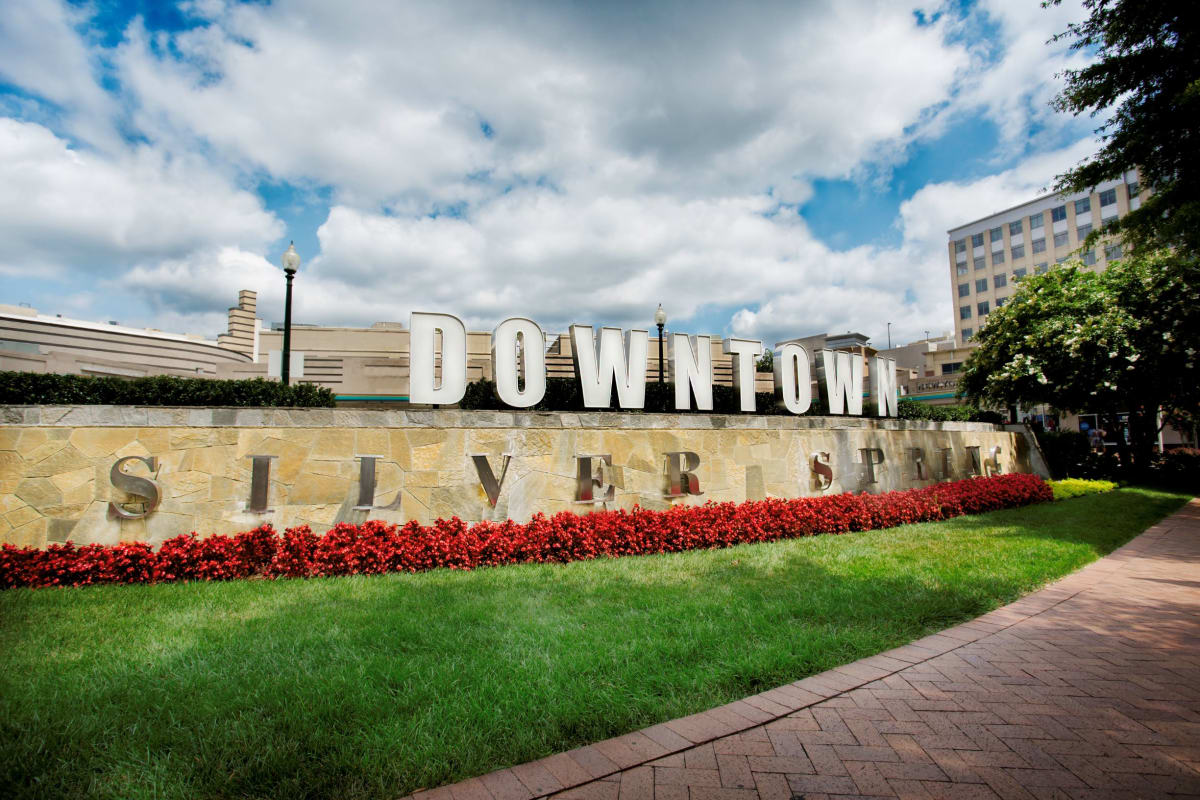 Apartments for Rent Downtown Silver Springs Colesville Towers